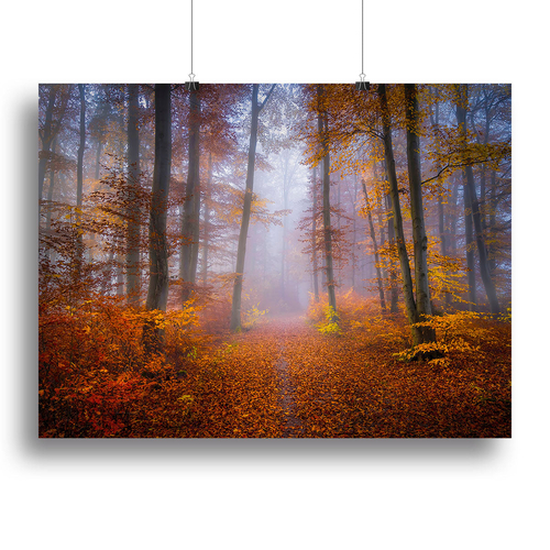October Trail Canvas Print or Poster