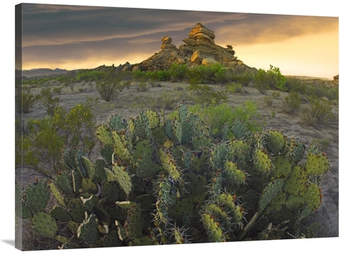 Global Gallery GCS-396771-3040-142 30 x 40 in. Opuntia & Hoodoos, 