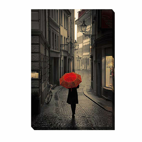 Artistic Home Gallery 1218U541IG Red Rain by Stefano Corso Premium Gal