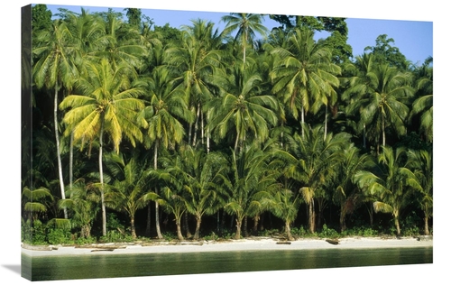 Global Gallery GCS-452341-2436-142 24 x 36 in. Palm Trees Along White 