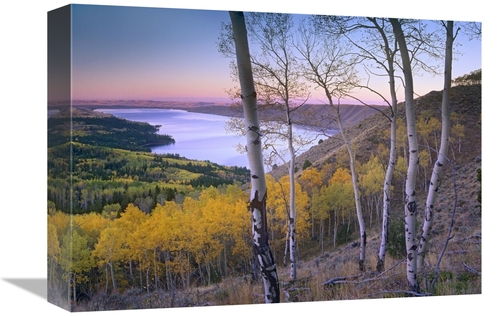 Global Gallery GCS-396936-1216-142 12 x 16 in. Aspen Forest Overlookin
