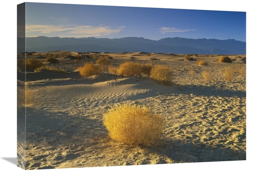 Global Gallery GCS-396646-1824-142 18 x 24 in. Mesquite Flat Sand Dune