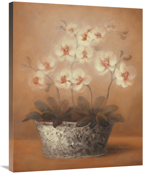 Global Gallery GCS-128583-2835-142 28 x 35 in. Gillian Art Print - Che