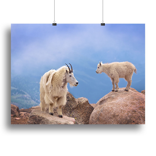 A Mothers Smile Canvas Print or Poster