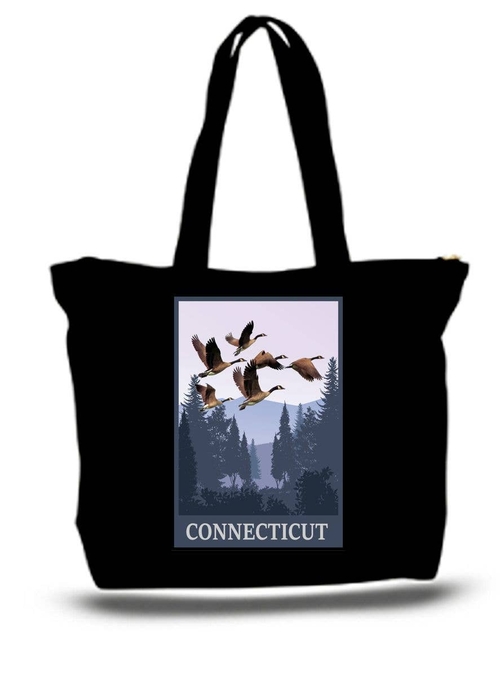 Connecticut art Travel Poster tote Bag