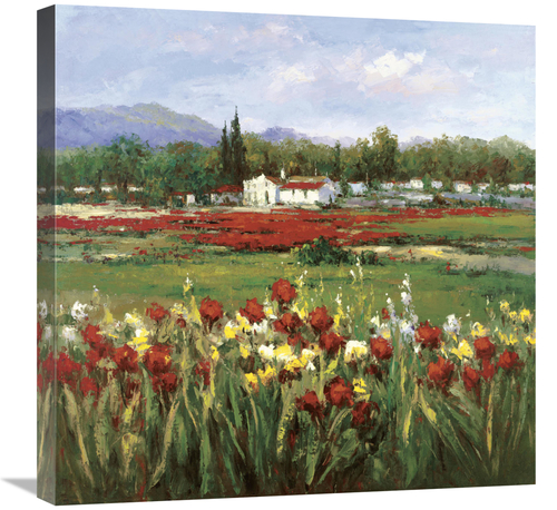 Global Gallery GCS-124055-2424-142 24 x 24 in. Red Flower Field Art Pr