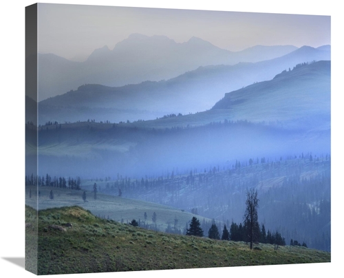 Global Gallery GCS-396549-22-142 22 in. Mist Over Absaroka Range, 