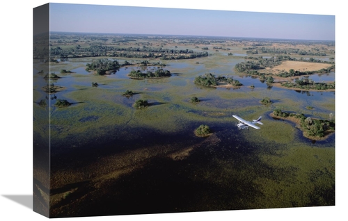 Global Gallery GCS-452368-1216-142 12 x 16 in. Safari Airplane Flying 