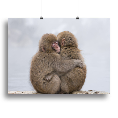 Forever Friends Canvas Print or Poster