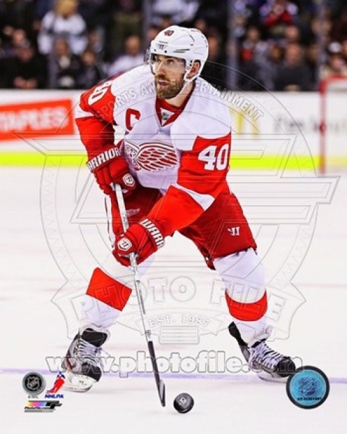 Photofile PFSAAPR09501 Henrik Zetterberg 2012-13 Action Sports Photo -