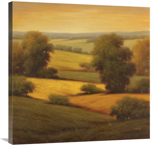 Global Gallery GCS-130185-3030-142 30 x 30 in. Amber Outlook II Art Pr