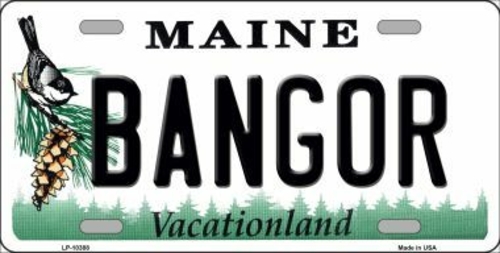 Smart Blonde LP-10388 Bangor Maine Background Metal Novelty License Pl