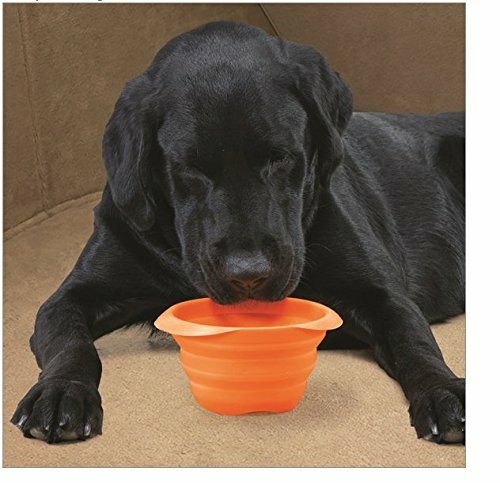 Talus HR-DG-102 Collapsible Dog Bowl