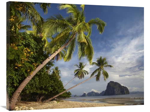 Global Gallery GCS-396396-3040-142 30 x 40 in. Palm Trees, Pinagbu