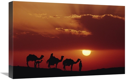 Global Gallery GCS-452939-1624-142 16 x 24 in. Dromedary Camels & Bedo