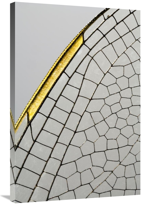 Global Gallery GCS-397976-2436-142 24 x 36 in. Emperor Dragonfly Wing&