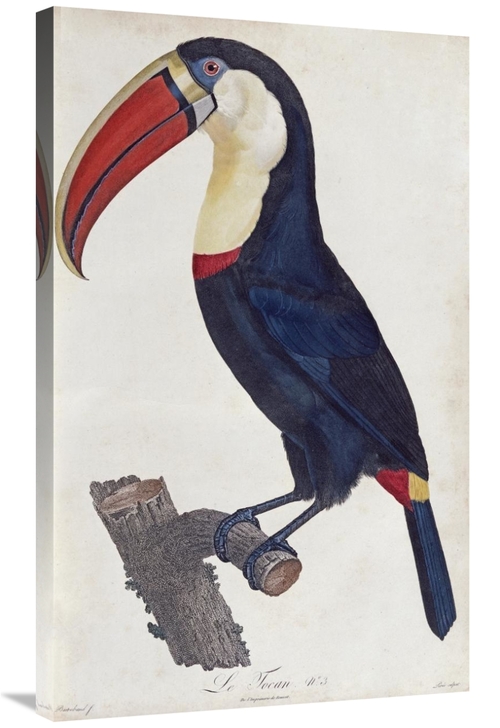 Global Gallery GCS-268246-36-142 36 in. Toucan Art Print - Francois Le