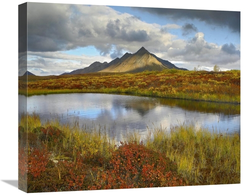 Global Gallery GCS-396769-22-142 22 in. Pond & Ogilvie Mountains, 