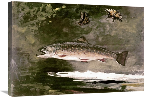 Global Gallery GCS-278035-30-142 30 in. Trout Art Print - Winslow Home