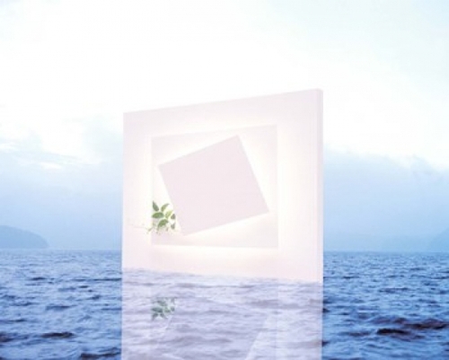 White frame with small vine floating on blue water with reflection Pos