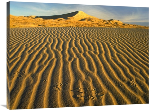 Global Gallery GCS-396673-3040-142 30 x 40 in. Wind Ripples in Kelso D