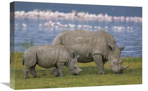 Global Gallery GCS-395345-1624-142 16 x 24 in. White Rhinoceros Mother