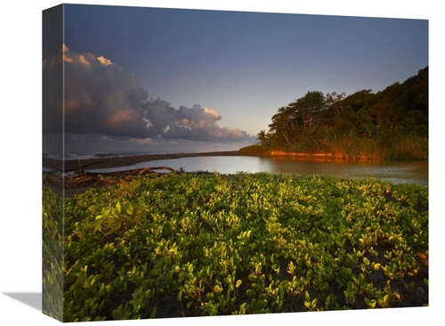 Global Gallery GCS-396494-16-142 16 in. Lagoon Near Coastline, Cor