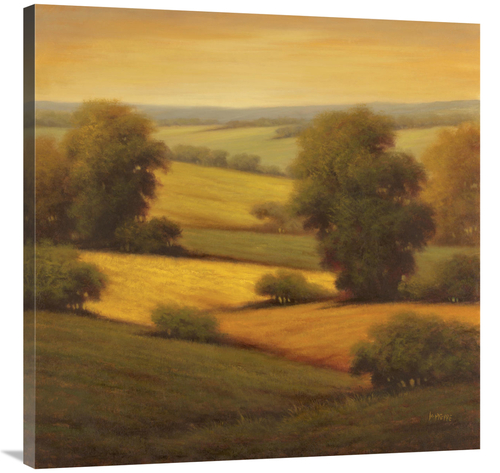 Global Gallery GCS-130185-3636-142 36 x 36 in. Amber Outlook II Art Pr