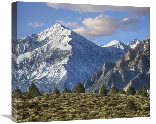 Global Gallery GCS-396983-22-142 22 in. Mount Tom, Sierra Nevada&#