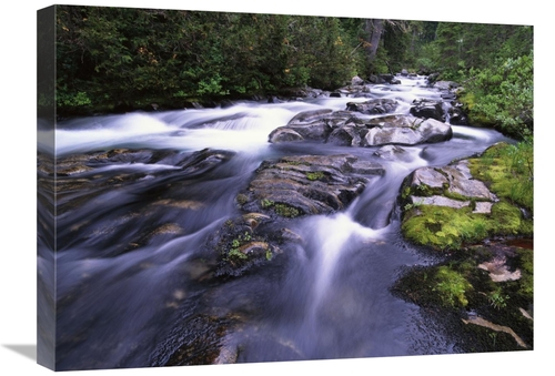 Global Gallery GCS-396354-1824-142 18 x 24 in. Paradise River, Mt 