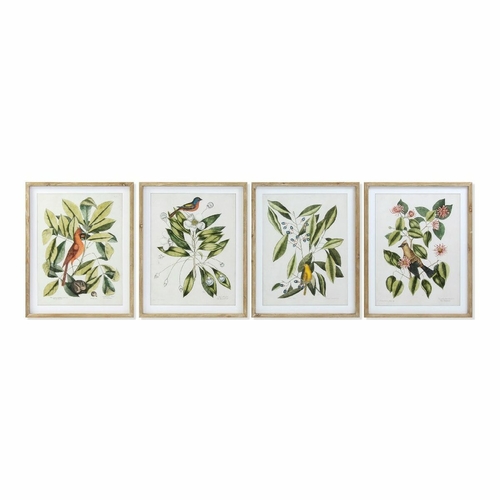Painting DKD Home Decor Bird 55 x 2,5 x 70 cm Tropical Birds (4