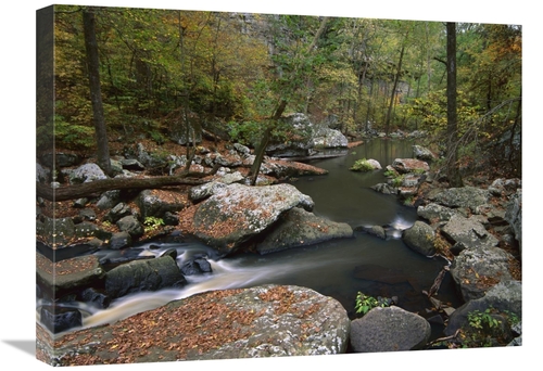 Global Gallery GCS-396927-1824-142 18 x 24 in. Cedar Creek Flowing Thr