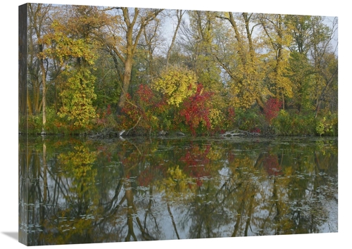 Global Gallery GCS-396825-2432-142 24 x 32 in. Autumn Reflection on Ma