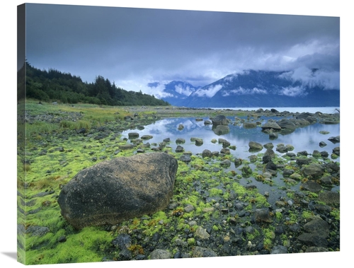 28 x 35 in. Low Tide Revealing Algae Covered Rocks, Alaska Art Pri