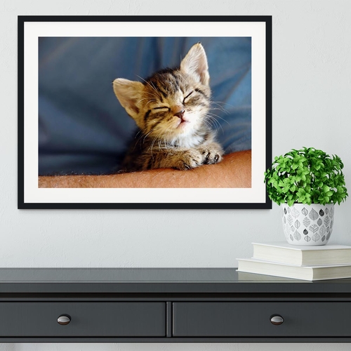Little cat sleeping on human hand closeup Framed Print