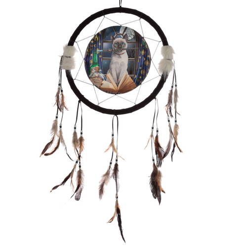 Decorative Lisa Parker Hocus Pocus 33cm Dreamcatcher