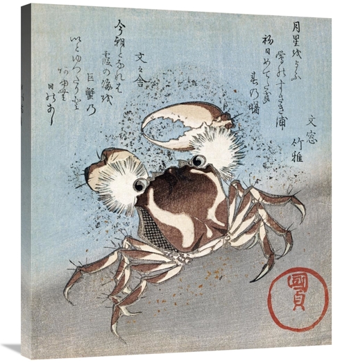 Global Gallery GCS-268206-30-142 30 in. A Crab on the Seashore Art Pri