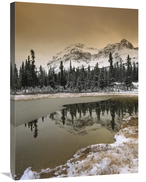 Global Gallery GCS-396921-2432-142 24 x 32 in. Canadian Rocky Mountain