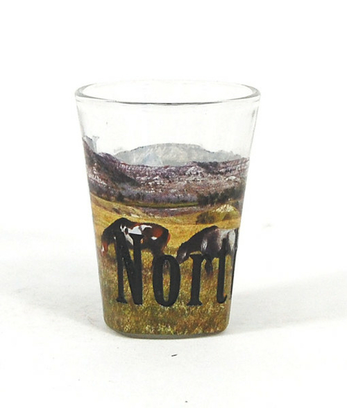Americaware SGNDK01 North Dakota Full Color Etched Shot Glass