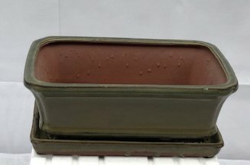Olive Green Ceramic Bonsai Pot -RectangleWith Humidity Drip Tray10.5"