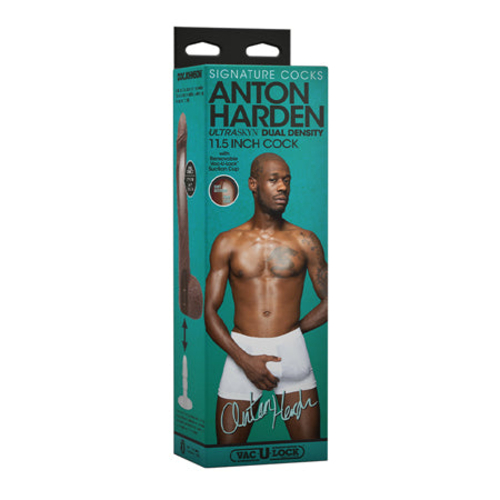 Signature Cocks Anton Harden 11 in. ULTRASKYN Cock with Removable