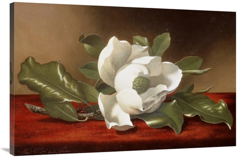 Global Gallery GCS-268075-44-142 44 in. Magnolia Art Print - Martin Jo