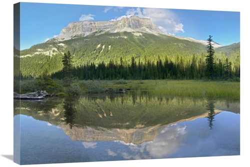 Global Gallery GCS-397017-30-142 30 in. Mt Burgess Reflected in Emeral