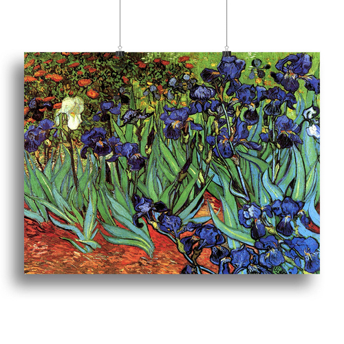Irises 2 by Van Gogh Canvas Print or Poster