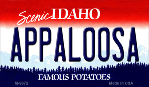 Smart Blonde M-9872 Appaloosa Idaho State Background License Plate Met