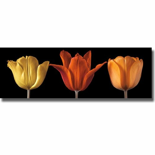 Artistic Home Gallery 1648199CG Sunshine Stance by Assaf Frank Premium