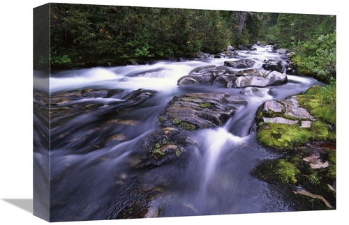 Global Gallery GCS-396354-1216-142 12 x 16 in. Paradise River, Mt 