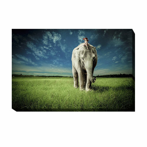 Artistic Home Gallery 2436H277IG Elephant Carry Me by Jeff Madison Cus