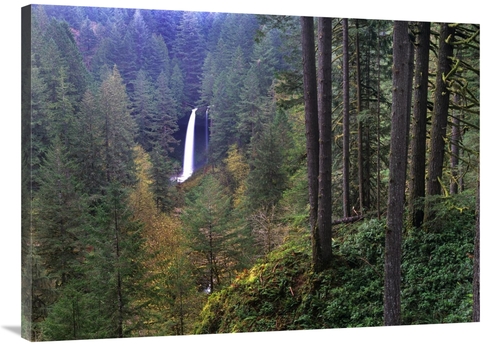 Global Gallery GCS-396444-3040-142 30 x 40 in. North Falls, Silver