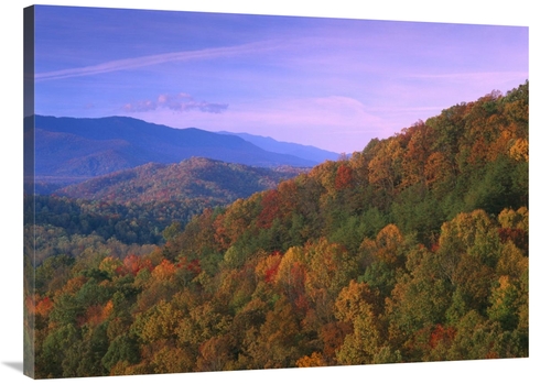 Global Gallery GCS-397143-3040-142 30 x 40 in. Appalachian Mountains A